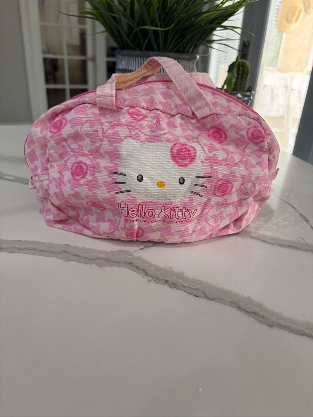 Hello Kitty Pink Kids make up Bag